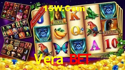 Segurança e performance na plataforma Vera Bet